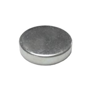 Plug 5L5991