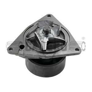 Bomba de agua para motor