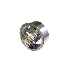 Bearing Roller