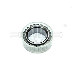 Bearing Roller