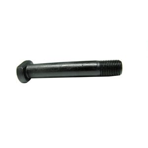 Bolt Cap