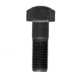 Tornillo para zapata