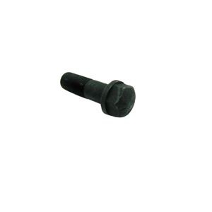 Tornillo para zapata