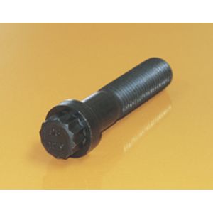 Bolt 12 Pt Hd