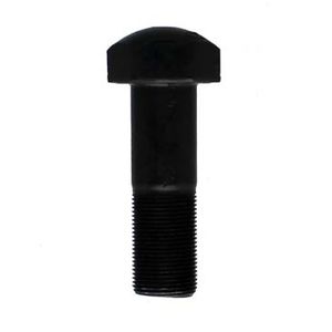 Tornillo para zapata