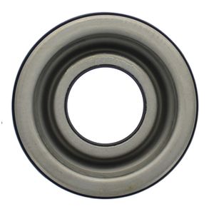 Piston Seal