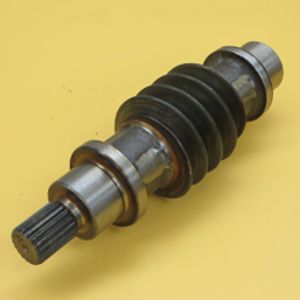 Worm Circ Dr