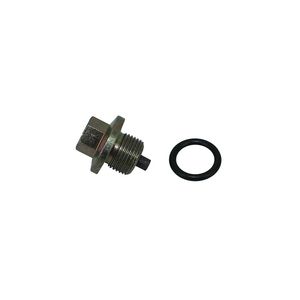 Plug As-Drain