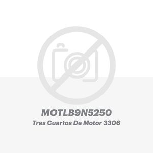 3/4 Mot. 3306 Pist 9N5250 para equipo Caterpillar®