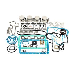 Media reparación para motor V2203 IDI EARLY